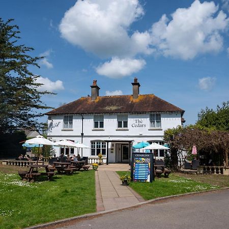 Cedars Inn By Greene King Inns Barnstaple Buitenkant foto